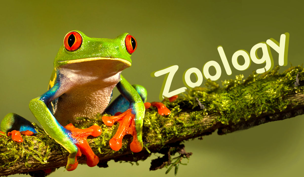 Zoology Whatsapp Group Links List (JOIN NOW)